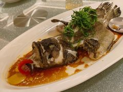 -南海渔村(珠江新城店)