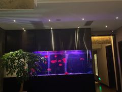 -大唐盲人按摩中心(黄山路店)