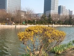 -丁家河公园