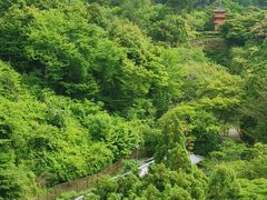 -有栖山 清光院 清水寺