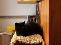 -春风十里咖啡馆