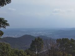 -雨花胜境