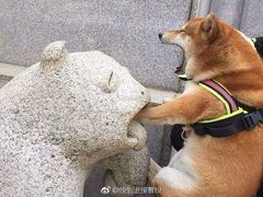 -万达广场(马鞍山太白路店)