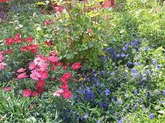 -长春公园(普阳街道)