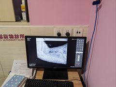 -哆趣宠物医院·眼科·内镜·急重症转诊中心(上海店)