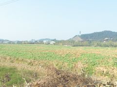 -美丽洲堂