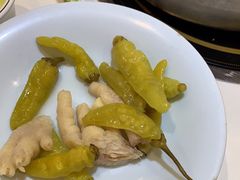 -探窝·竹笙椰子鸡(杨箕店)