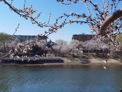 -桃花堤公园