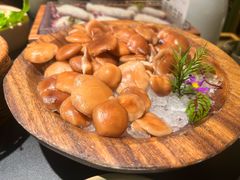 -季季山·云南野生菌火锅(上海首店)