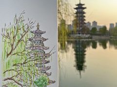 -洋湖国家湿地公园