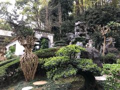 -南山植物园