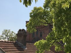 -上海佘山国家森林公园西佘山园