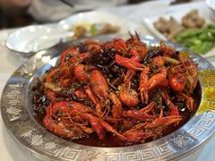 龙虾-大孩龙虾(体育场旗舰店)