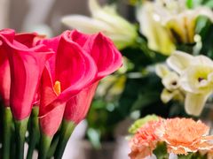 -飶香居(省博物馆店)