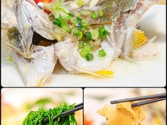 -有腥气私房菜·寻味顺德