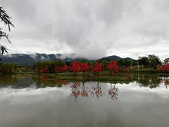 -天适樱花悠乐园