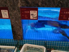 -潮州府·潮菜·砂锅粥(徐家汇店)
