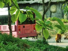 -北京野生动物园