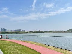 -西山漾湿地公园