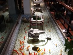 -向阳庄烧烤店(望京西园店)