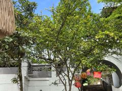 -桃源山庄·水蜜桃采摘·柴火鸡·烧烤团建(龙泉山店)