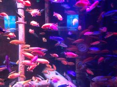 -沈阳海洋探索中心