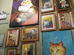 -猫咪博物馆(顶澳仔猫街店)