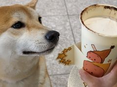 -喜茶(广州滨江宏岸店)