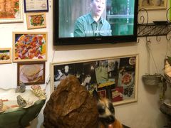 -郑厨私房菜