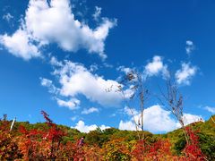 -丹东天桥沟景区