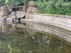 -嘉定紫藤园