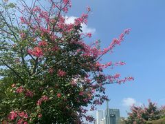 -二沙岛艺术公园