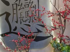 -吴满满油泼面(北方风味园店)