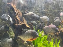 -杭州海底世界