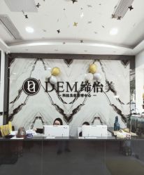 -DEM缔怡美科技美容