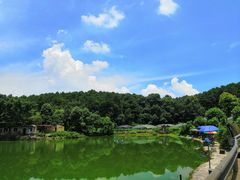 -铁山坪森林公园