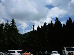 -武陵山森林公园