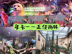 -正佳雨林生态植物园
