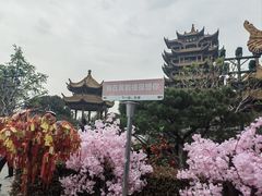 -黄鹤楼公园(黄鹤楼)