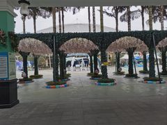 -海合安成都极地海洋公园