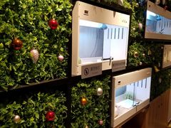 -打趸BTC·Breaktime cafe(北京路店)
