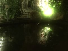 -威海天沐温泉度假区