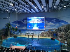 -福州罗源湾海洋世界旅游区