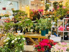 -双季花艺园艺市场(浦东店)