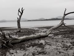 -横山水库