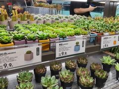 -鹿岛生活(熙地港店)