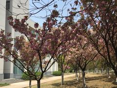 -上海第二工业大学(金海路校区)
