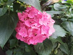 -共青国家森林公园-售票处