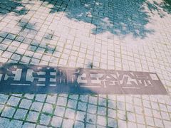 -西湖风景区-江洋畈生态公园