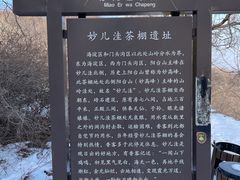 -阳台山自然风景区